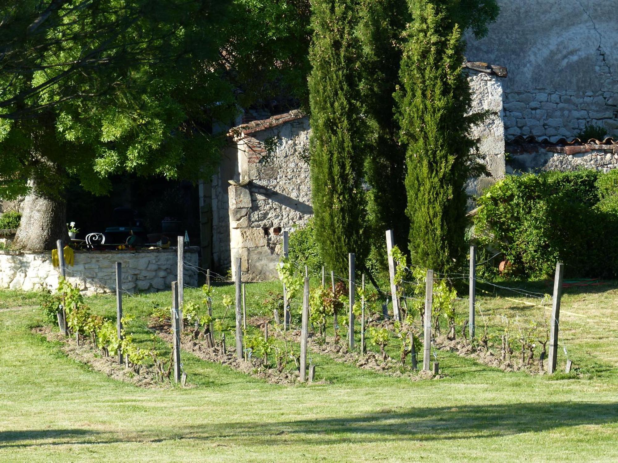 Domaine De La Monestarie - Teritoria 호텔 Bernac  외부 사진